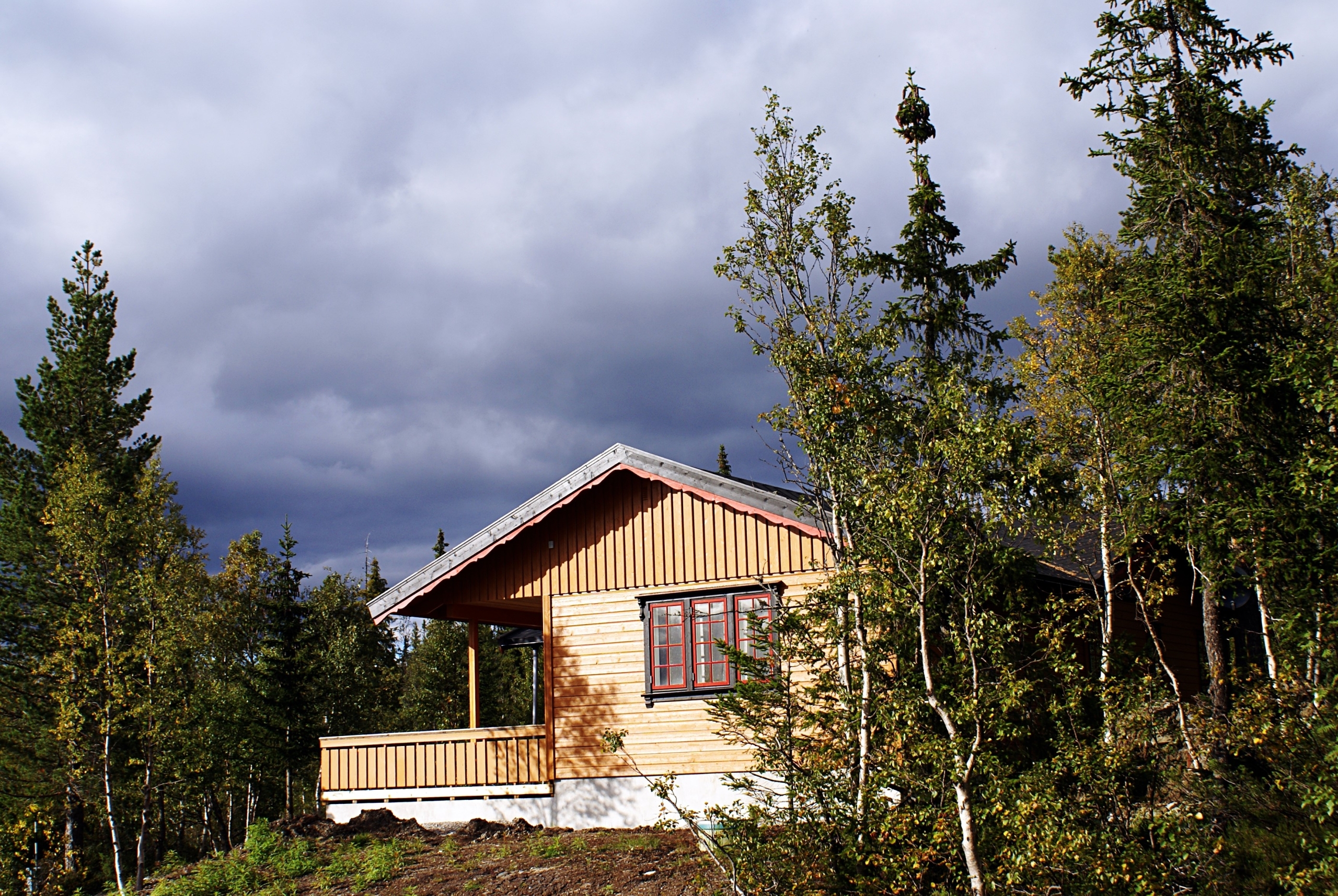 Log Siding Is A Favorite Building Material